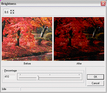 image\ebx_-1130499371.gif