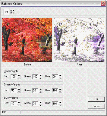 image\ebx_-850801294.gif