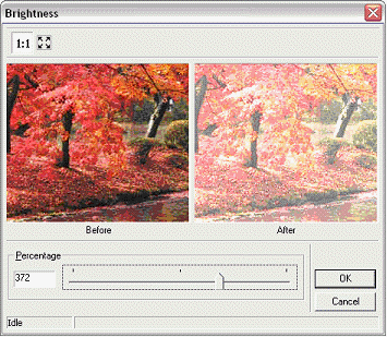 image\ebx_2097330596.gif