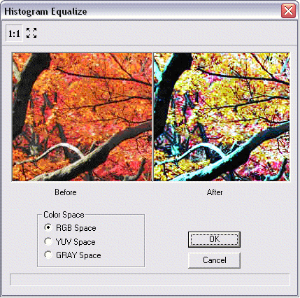 image\ebx_490253244.gif