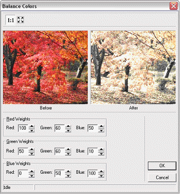 image\ebx_697034113.gif
